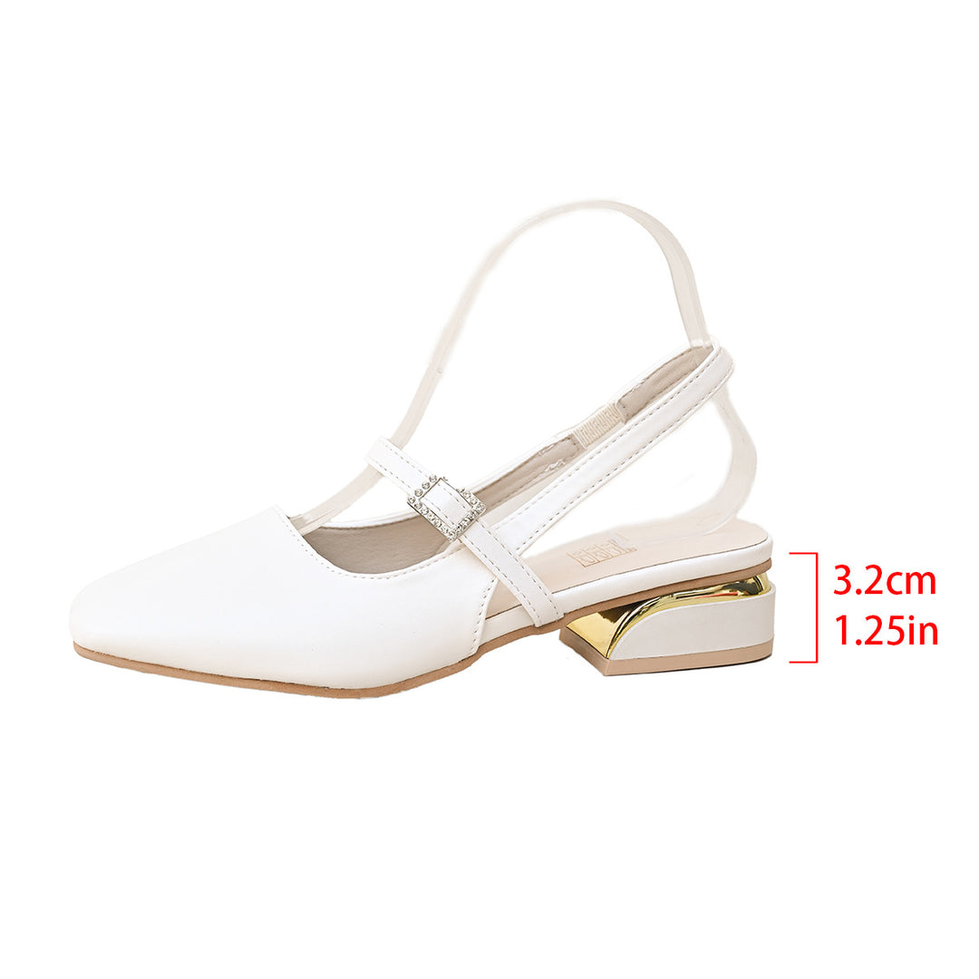 Pointed Toe Mary Jane Chunky Heels